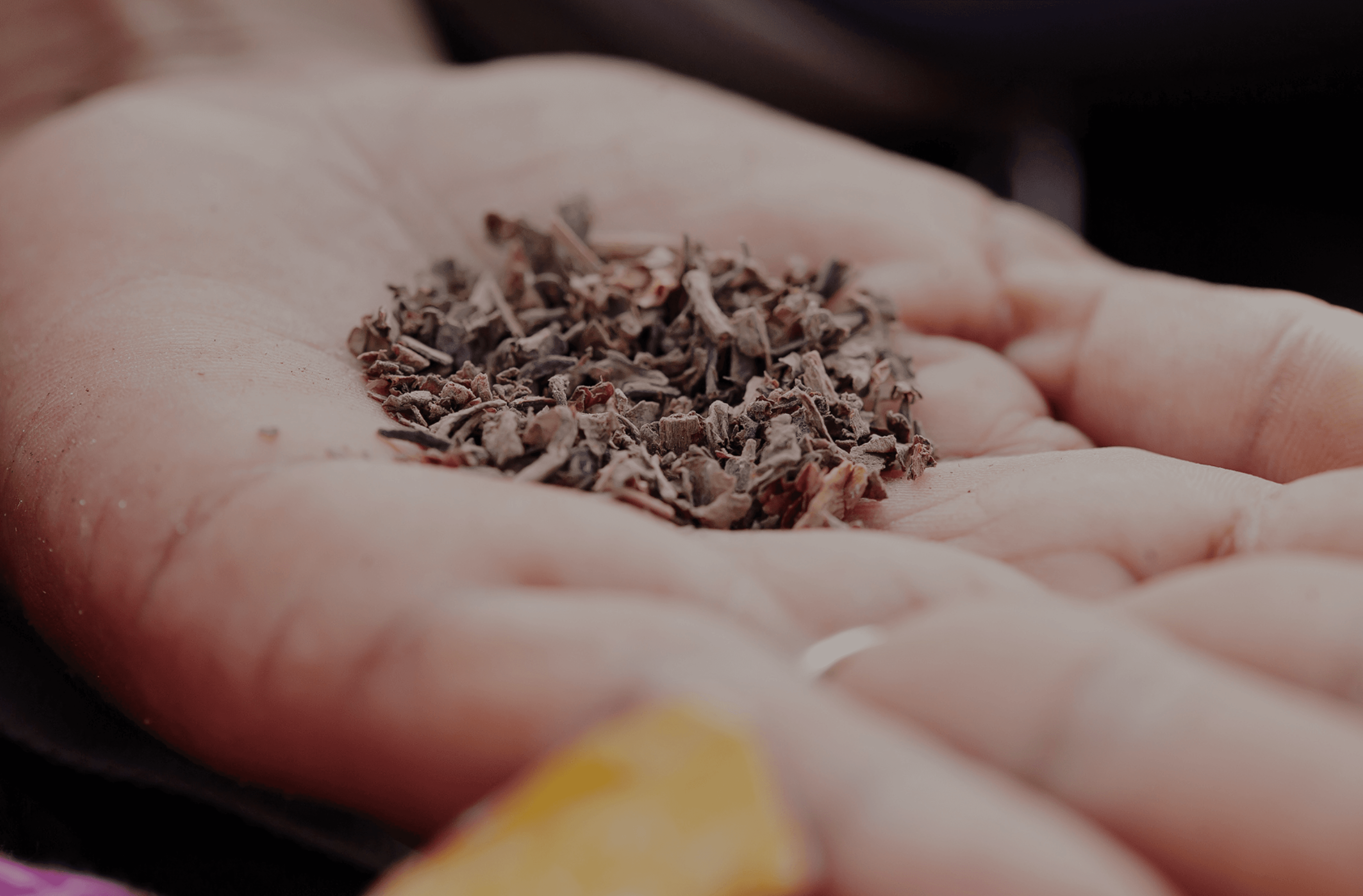 Nicotine (Tobacco Chewing)